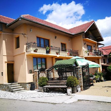 Pensiunea Remus Novaci-Străini Exterior foto