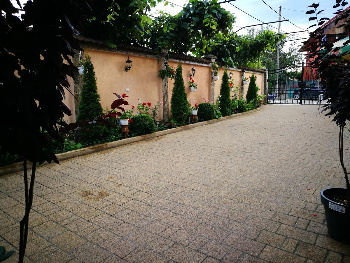Pensiunea Remus Novaci-Străini Exterior foto