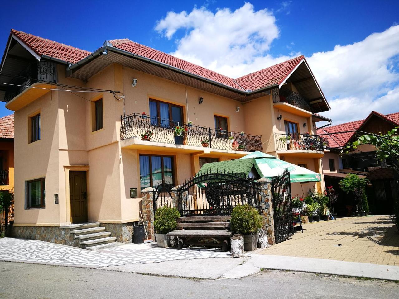 Pensiunea Remus Novaci-Străini Exterior foto