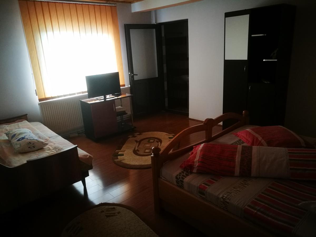Pensiunea Remus Novaci-Străini Exterior foto
