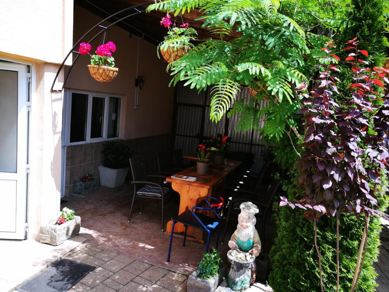 Pensiunea Remus Novaci-Străini Exterior foto