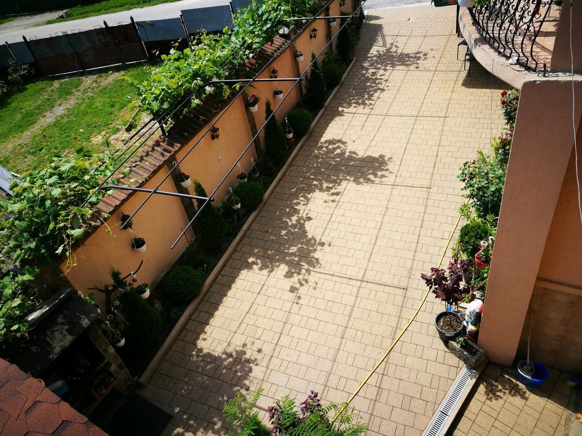 Pensiunea Remus Novaci-Străini Exterior foto