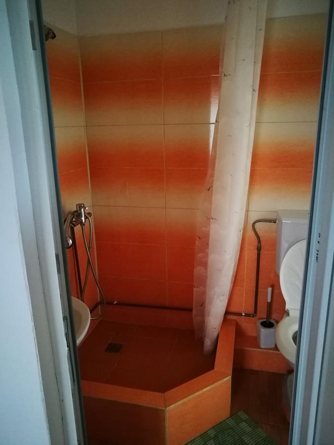 Pensiunea Remus Novaci-Străini Exterior foto
